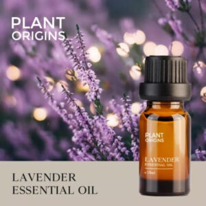 Lavender Essential Oil