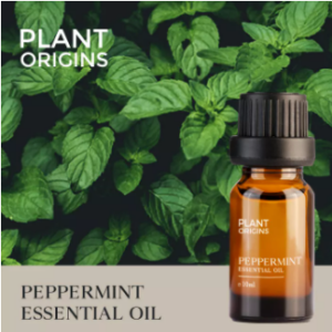 Peppermint Essential Oil