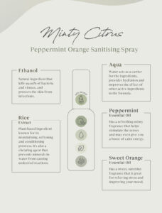 Plant Origins Peppermint Orange Sanitising Spray Body4
