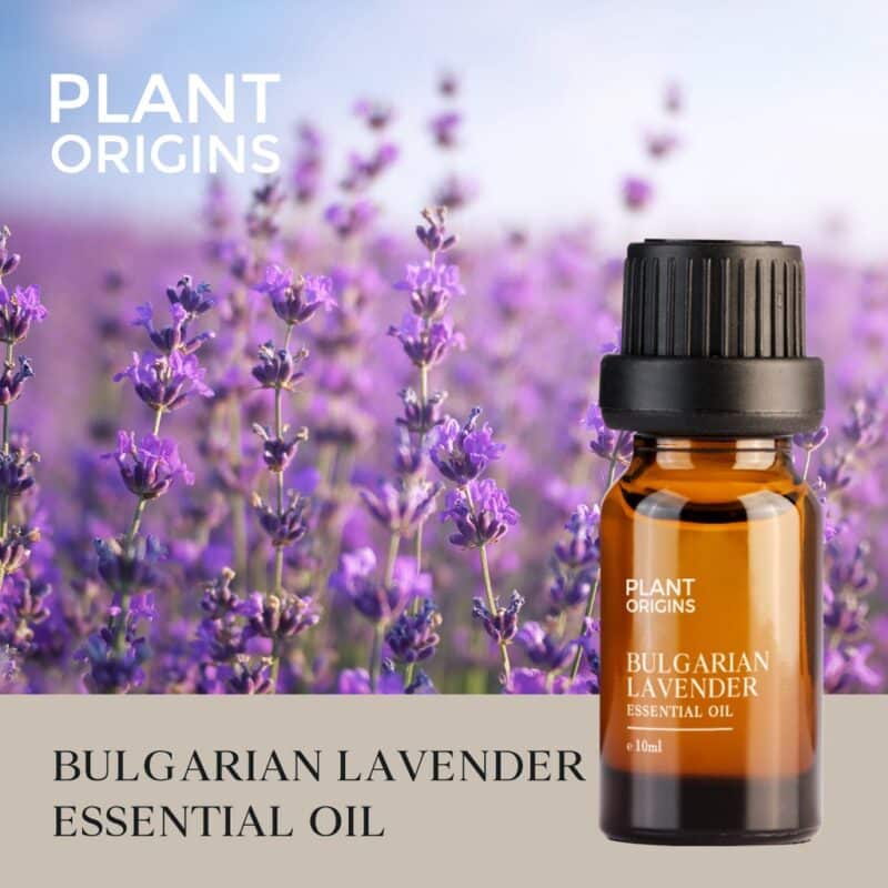 Plant origins bulgarian lavender essential oil (10ml) - image 2