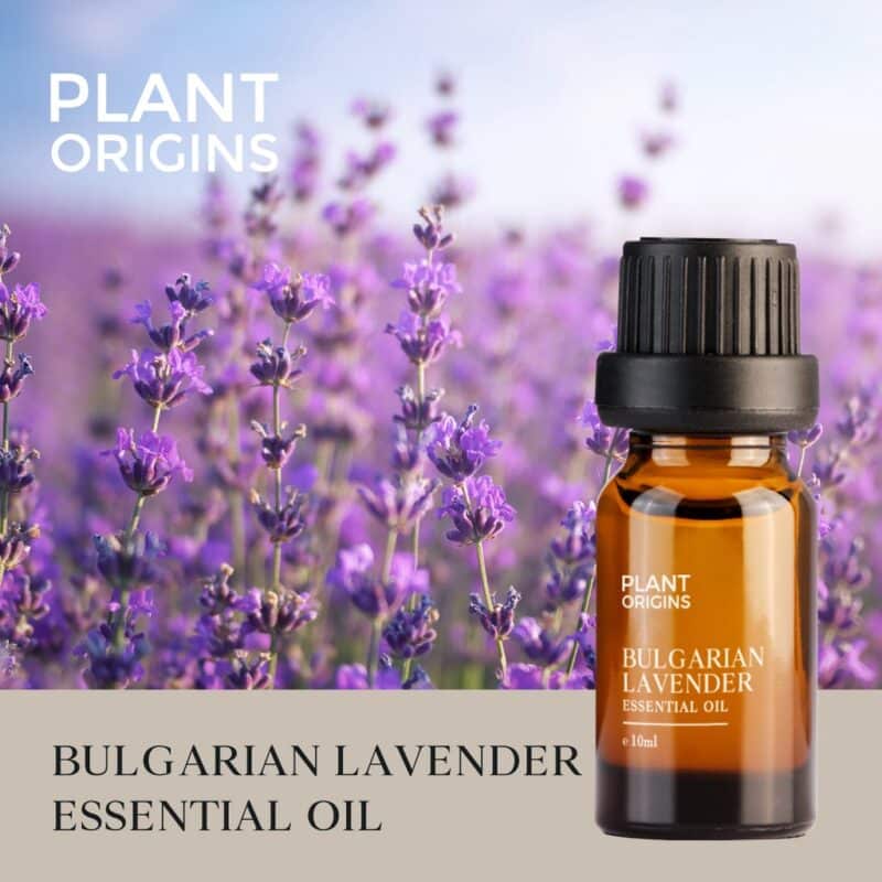 Plantorigins bulgarianlavenderoil3