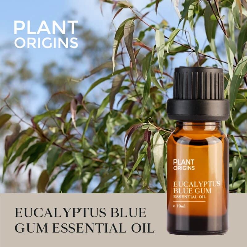Plantorigins eucalyptusoil3