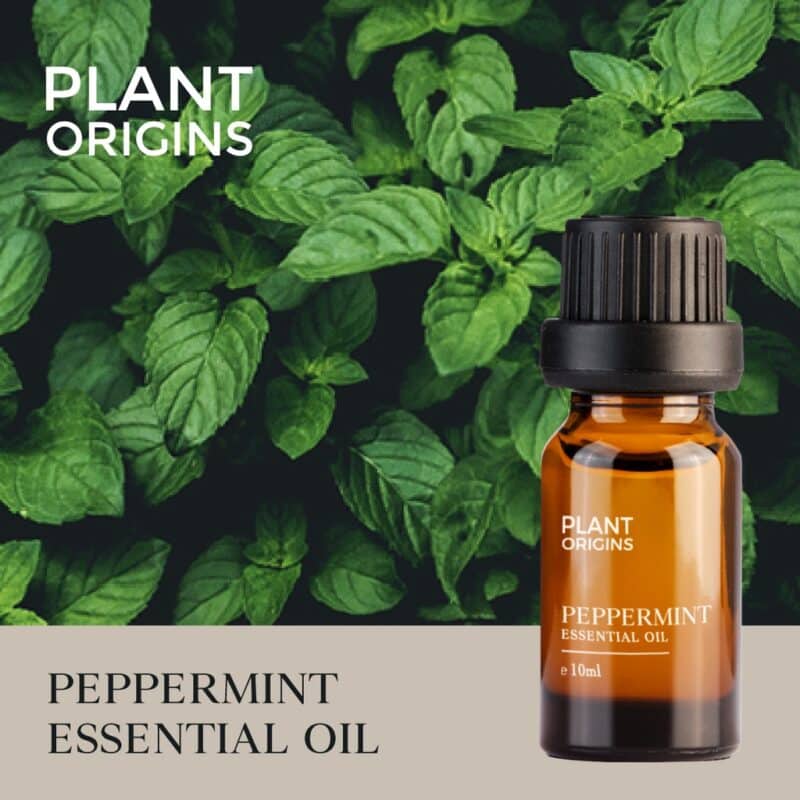 Plant origins peppermint essential oil (10ml) - image 2