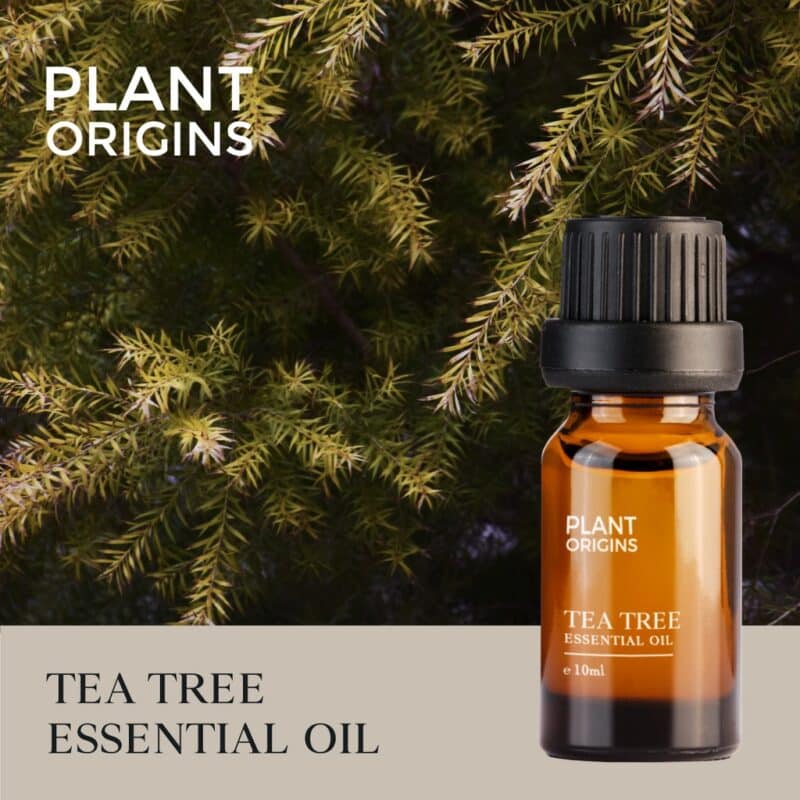 Plant origins tea tree essential oil (10ml) - image 2